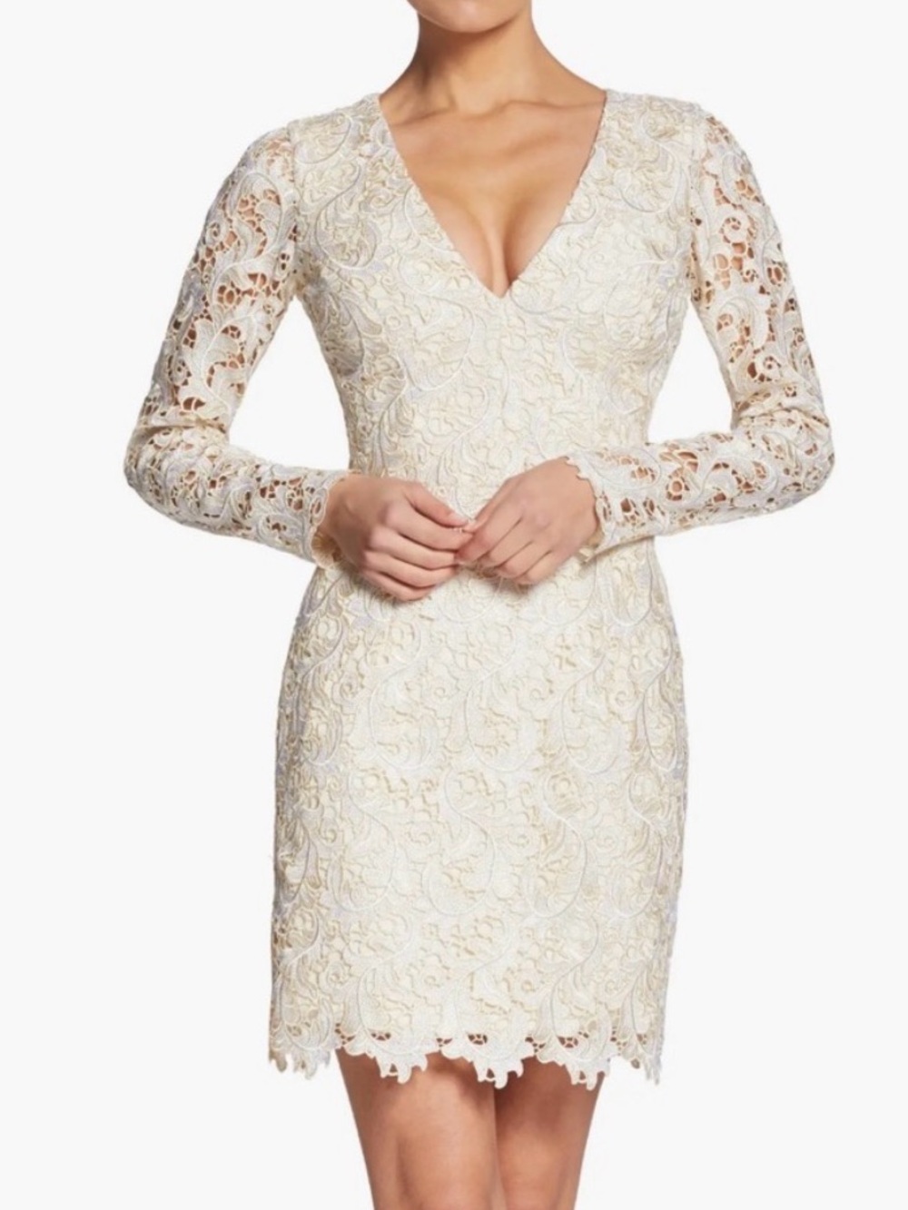 Dress the Population Ivory Lace Long-Sleeve V-Neck Dress L